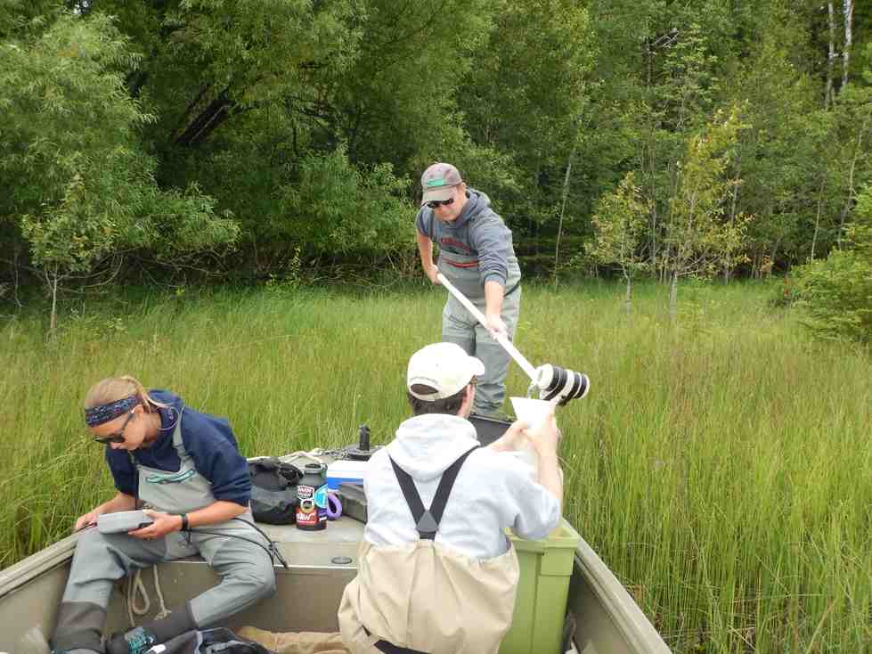 Alan, Evan, and Kaitlyn collect water samples and measure water quality parameters in a coastal wetland